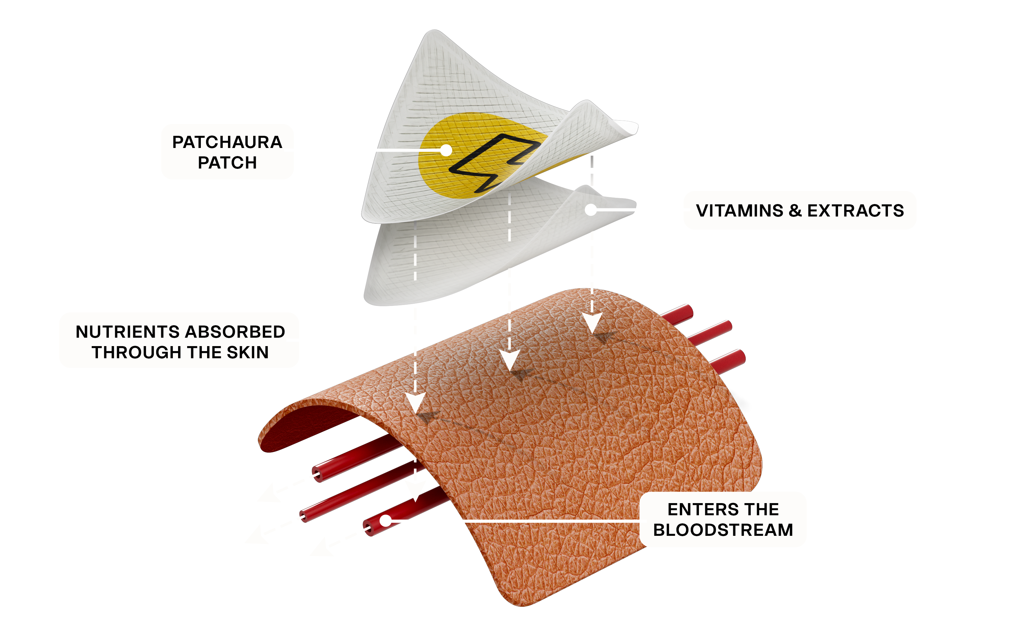 Diagram showing PatchAura ingredients passing through the skin